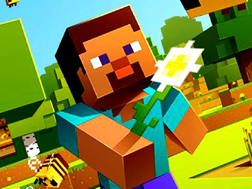 Minecraft online play